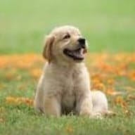 Open Innovation test 1 image