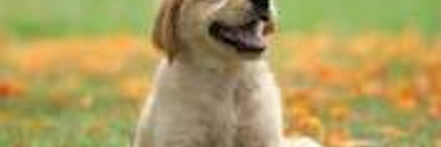 Testing edit and if project start date jumps image