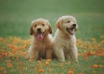 Open Innovation test 1 image