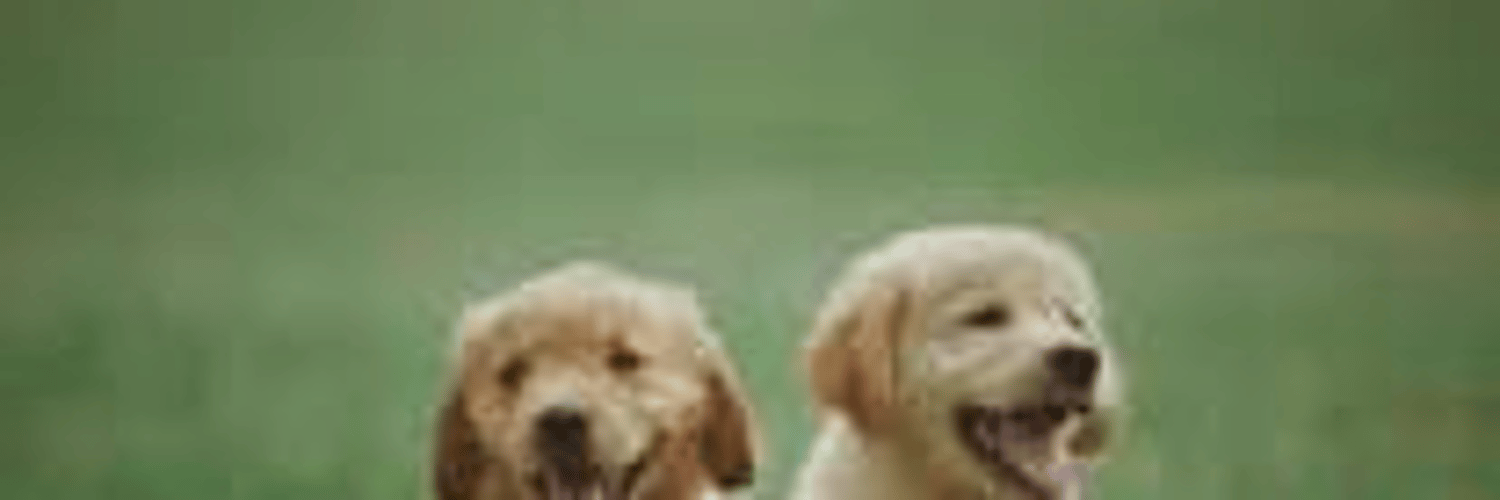 Darren testing crop images capability in open projects image