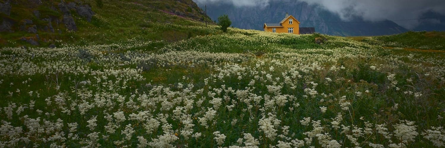 Test image upload function Test image upload function Test image upload function Test image upload functionTest image upload function image